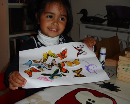 7 Sept butterflies.jpg